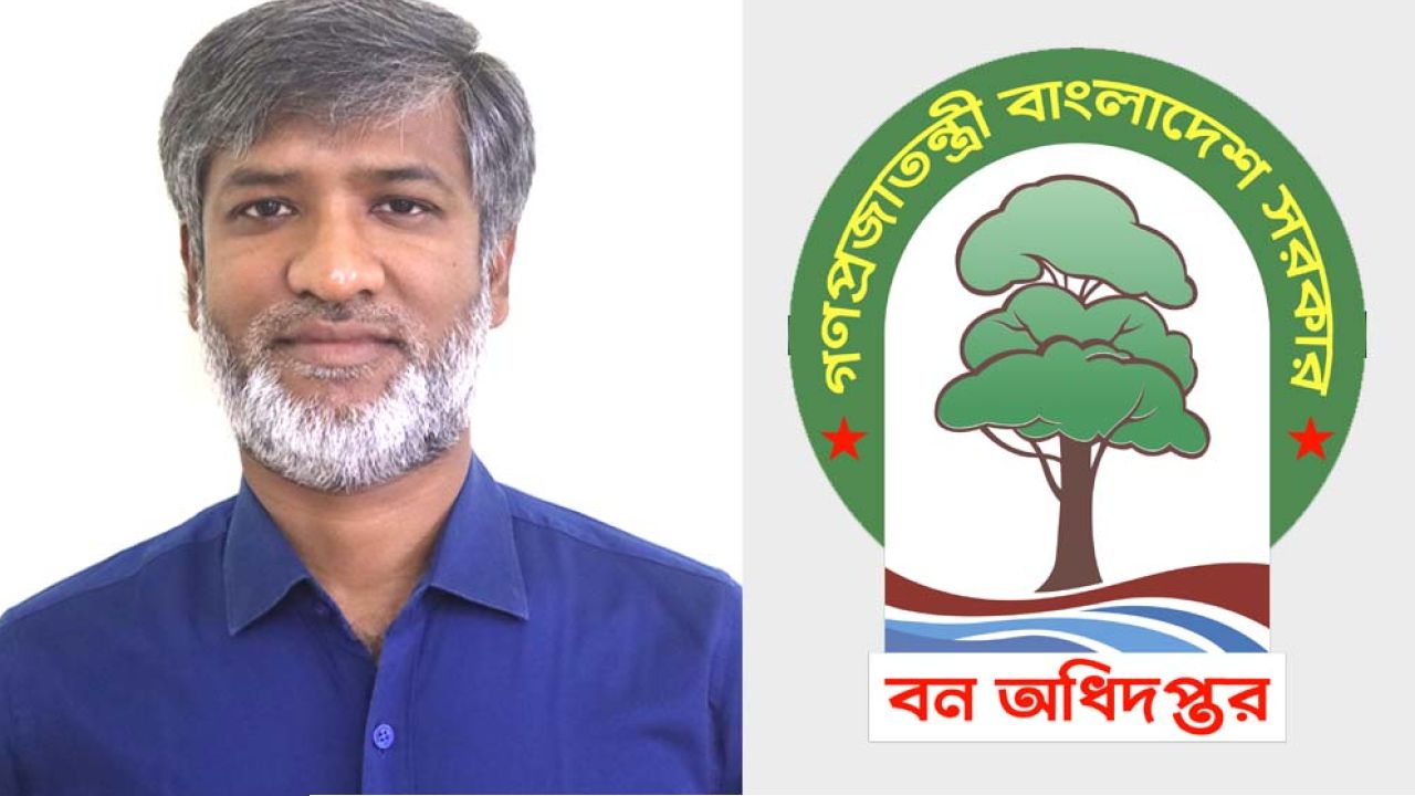 বনের জমিতে অবৈধ স্থাপনার ছড়াছড়ি, ঢাকা বন বিভাগে ডিএফও বশিরুলের বিরুদ্ধে দুর্নীতি, ঘুষ বাণিজ্য ও দখলদারদের মদদ দেওয়ার অভিযোগ
