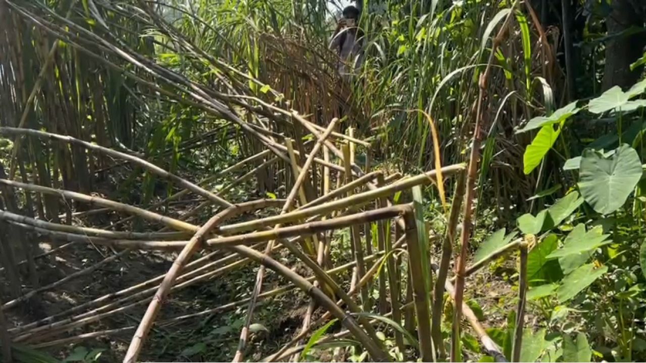 রূপগঞ্জে ১০ লাখ টাকা চাঁদা দাবি ও আখের খেত ভাঙচুরের অভিযোগে পুলিশ সুপারের কাছে লিখিত অভিযোগ